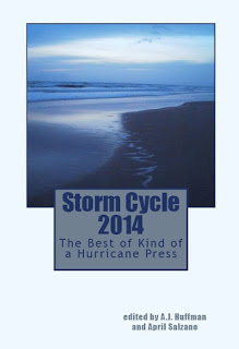 Storm Cycle 2014 Cover