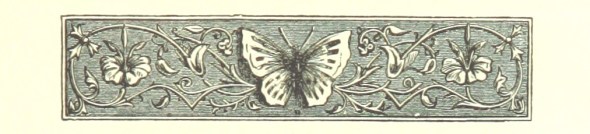 11123410205_98319779ef_o