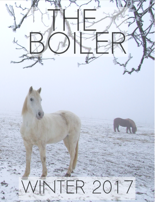 winter17_boiler